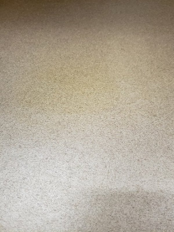 Staining caused by a rubber door stop